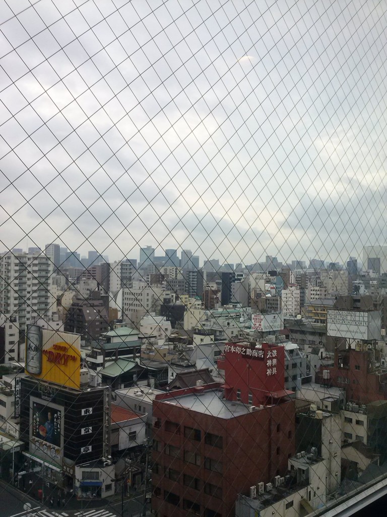 Tokyo dal tredicesimo piano (tutte le foto sono dell'autore)