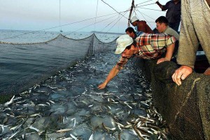 http://www.ansa.it/mare/notizie/rubriche/ambienteepesca/2015/09/29/pescatori-ed-esperti-a-bordo-per-studiare-sicurezza-con-reti_5f3bc9aa-dd21-4054-962a-e3938174a18c.html 