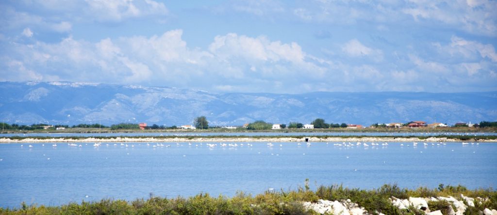 saline-margherita-di-savoia