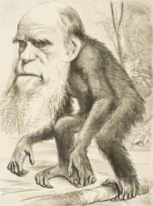 darwin vignetta satirica