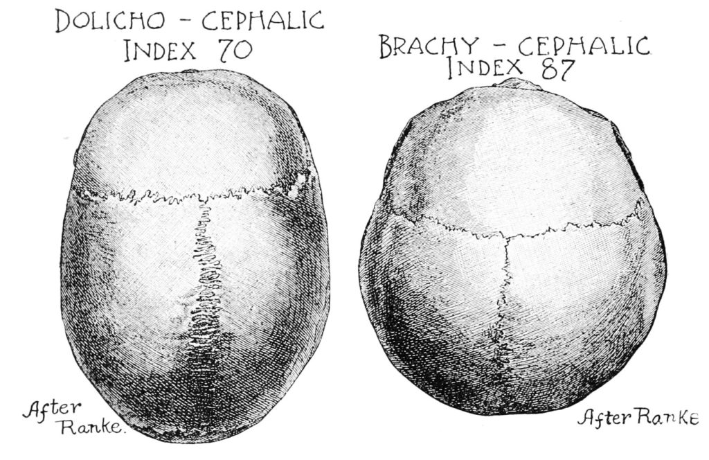 craniometria