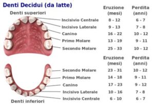 Denti da latte