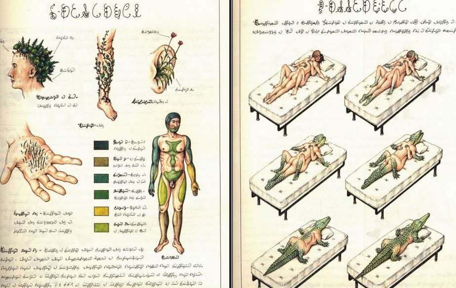 Codex Seraphinianus, il libro più strano del mondo vive un nuovo successo