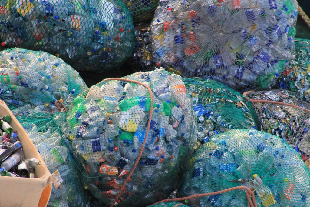 Bisfenolo A Alternative ecosostenibili alla plastica monouso