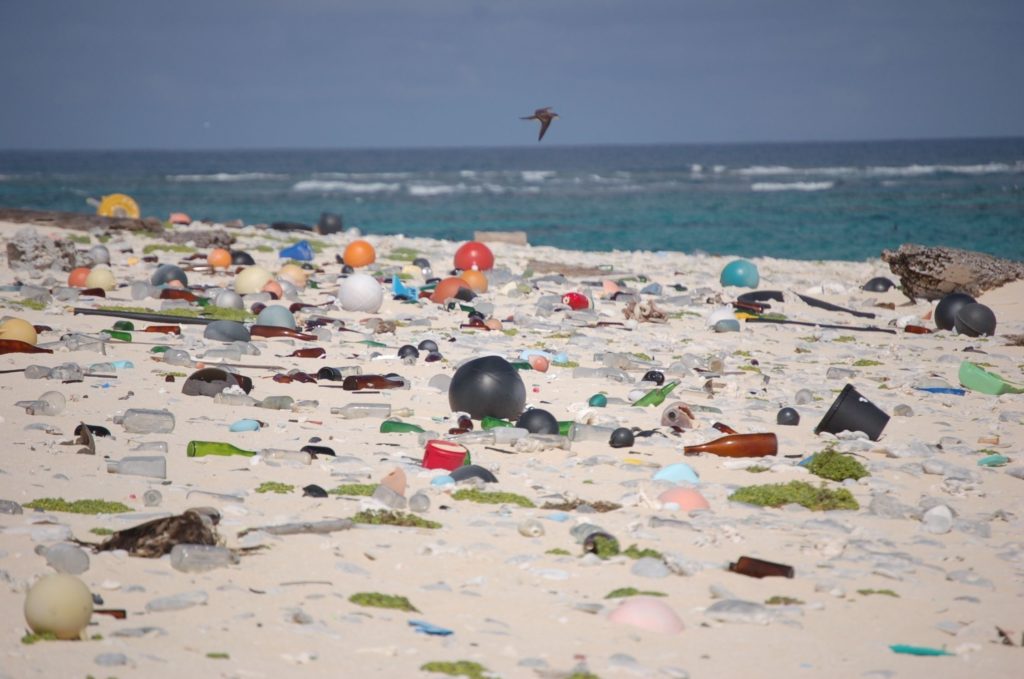 Crescono i reati ambientali plastica sulle spiagge