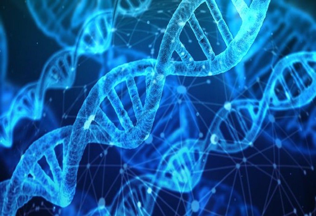 DNA organismo vivente generato al computer