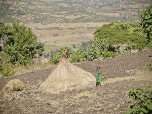 Aree rurali in Etiopia - 350 milioni di alberi