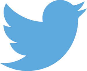 twitter fallimento vettore safir 