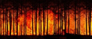 Incendi in Amazzonia 