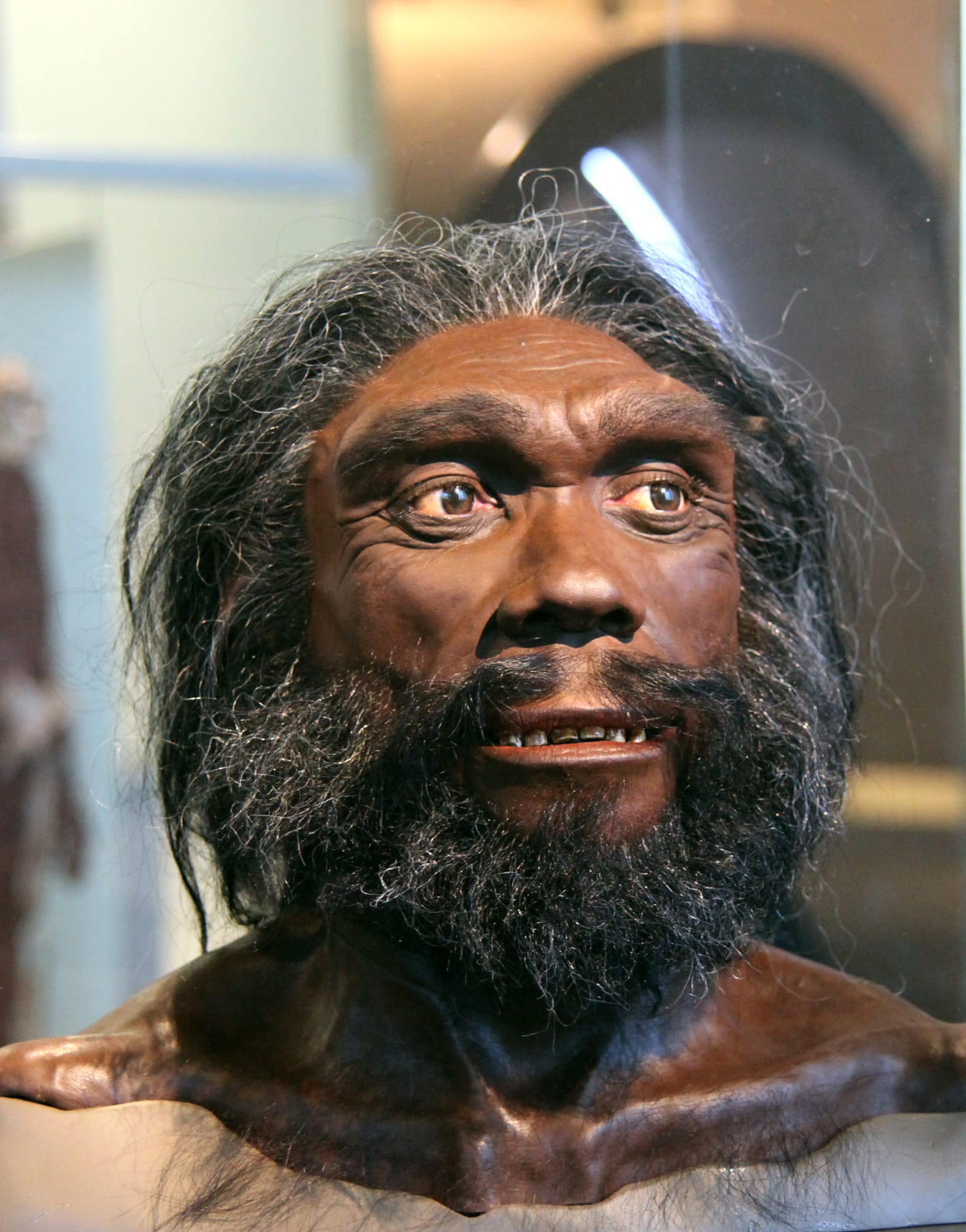 Homo locum ornat. Homo Heidelbergensis. Гейдельбергский человек. Хомо- Гейдельбергского человек это. Люди денисовцы денисовцы древние.