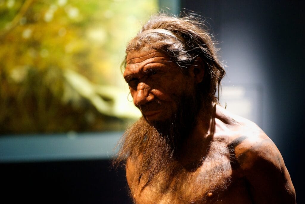 Cambiamento climatico e Neanderthal: 1