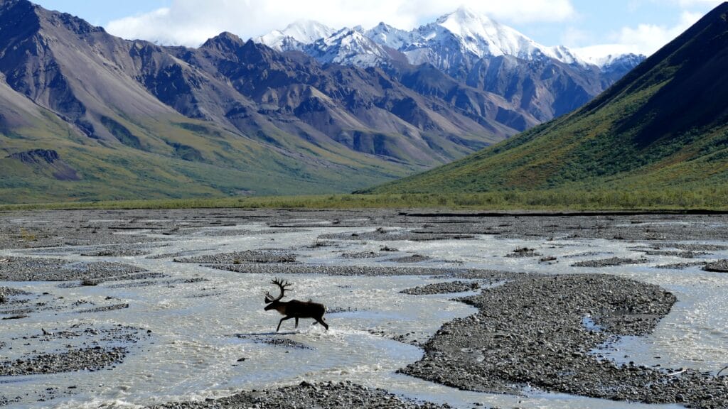 trivellazioni in Alaska