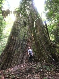 Foreste del mondo: Il dott. Martin Ehbrecht ha studiato la foresta pluviale tropicale del Borneo, oltre a molte altre aree.