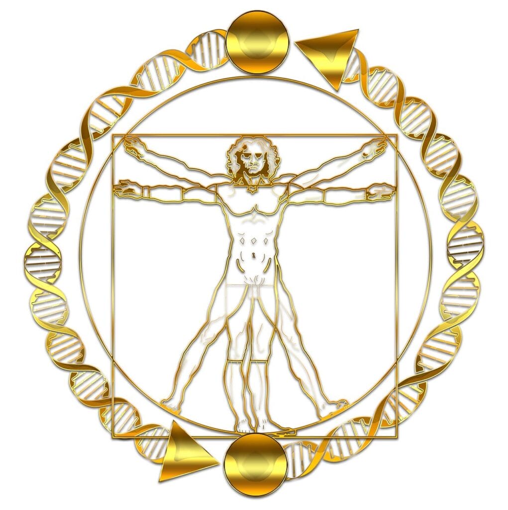 DNA di Leonardo da Vinci