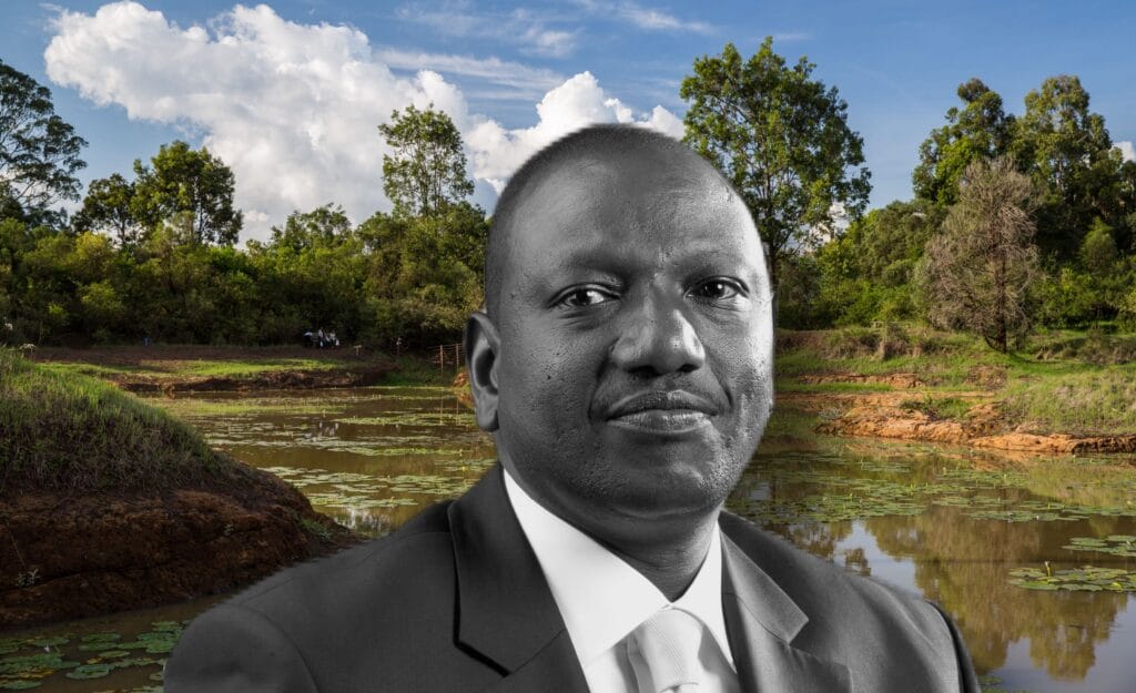 il presidente Ruto dice addio al divieto di disboscamento