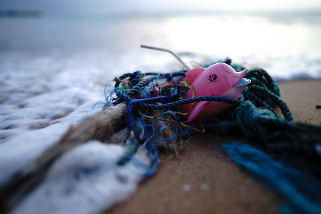 Microplastiche nei tessuti degli animali marini