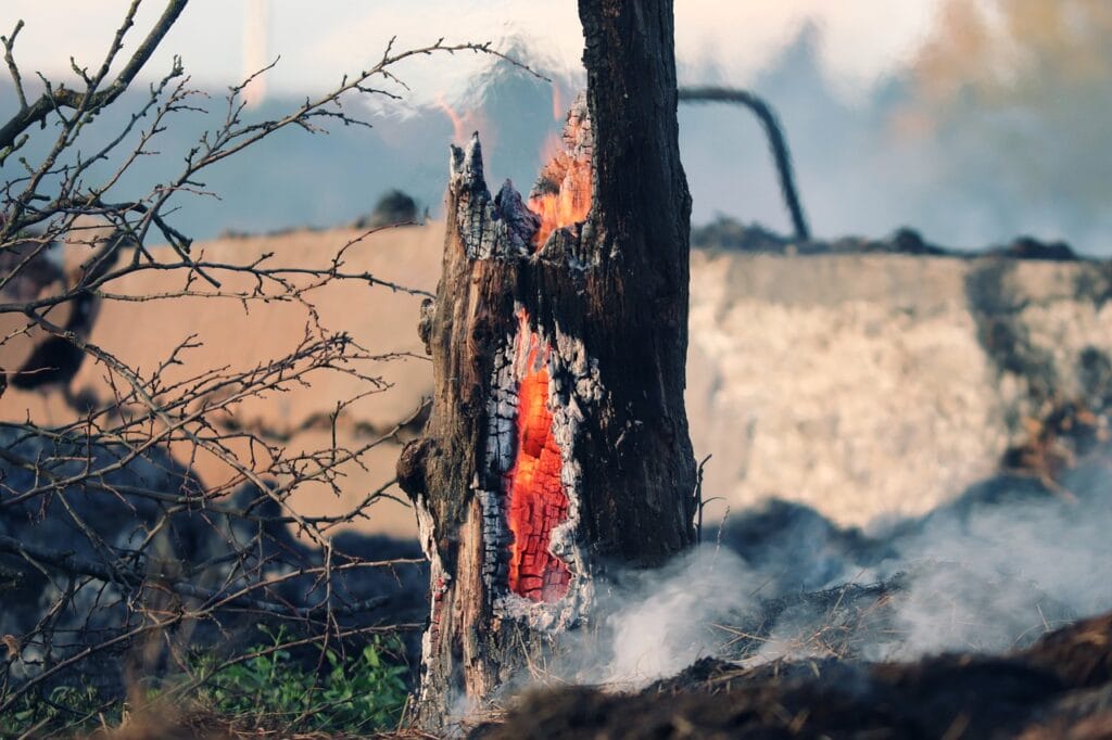 Incendi alle Hawaii