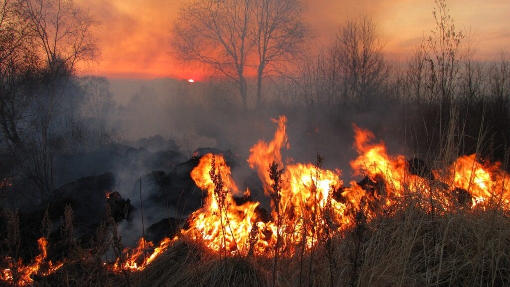 inquinamento atmosferico da incendi