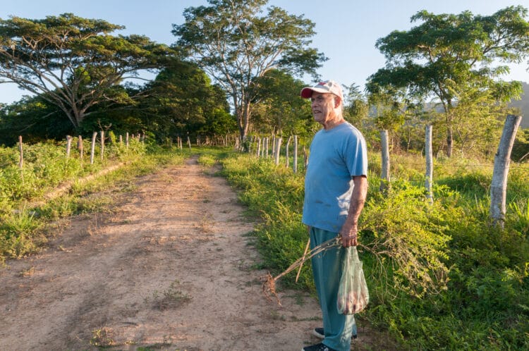 multinazionali della frutta in Costa Rica