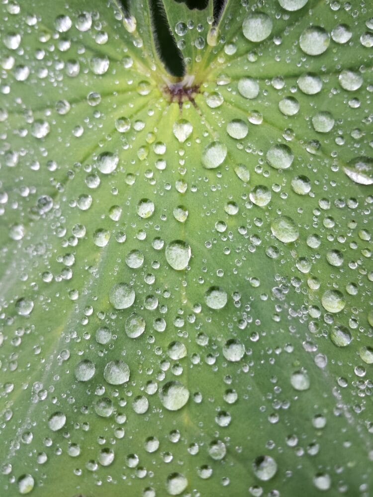 Idrogeno green grazie all'elettrolisi dell'acqua