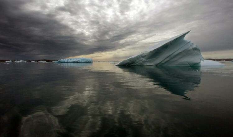 L'impatto della startup Arctic Ice incide sul benessere dell'ecosistema artico