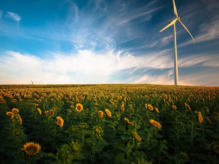 Piano Nazionale di adattamento ai cambiamenti climatici a1