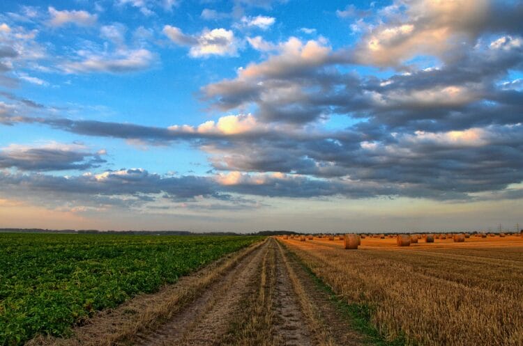 legge sul ripristino della natura, UE