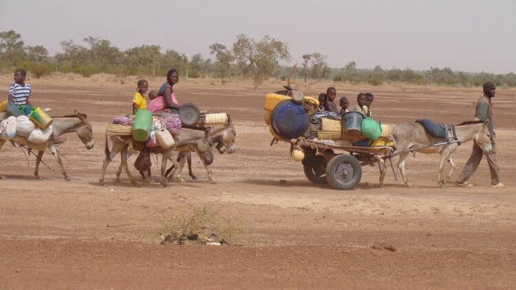 crisi umanitaria in congo, esodo