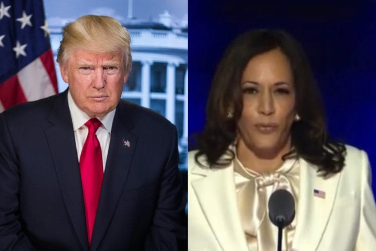 elezioni presidenziali USA 2024 Elezioni USA 2024: si intensifica la sfida nei swing states I candidati Usa poco esperti di geopolitica Kamala Harris alle Elezioni Usa 2024 contro Trump, Gli Swing States nelle presidenziali americane del 2024