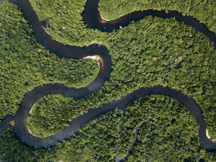 Gli attivisti di Mother Nature condannati al carcere per proteggere la loro terra