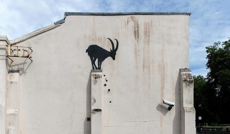 gli animali di Banksy