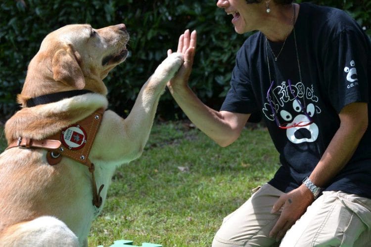 accesso con cani guida