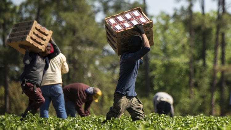 Morti sul lavoro