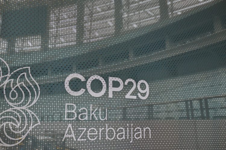 Cop29