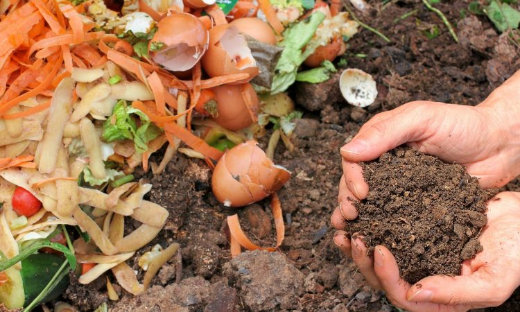 Gestione dei rifiuti organici: strategie per l'ambiente