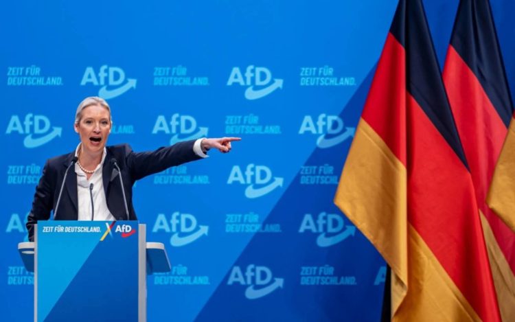 Afd Musk Alice Weidel elezioni in Germania