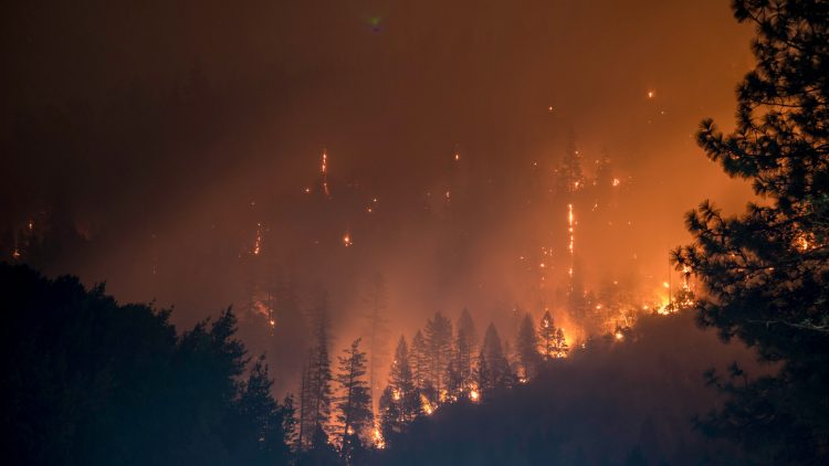 incendi a Los Angeles