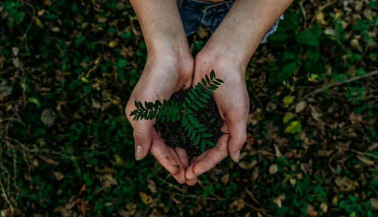 sussidi ambientalmente dannosi